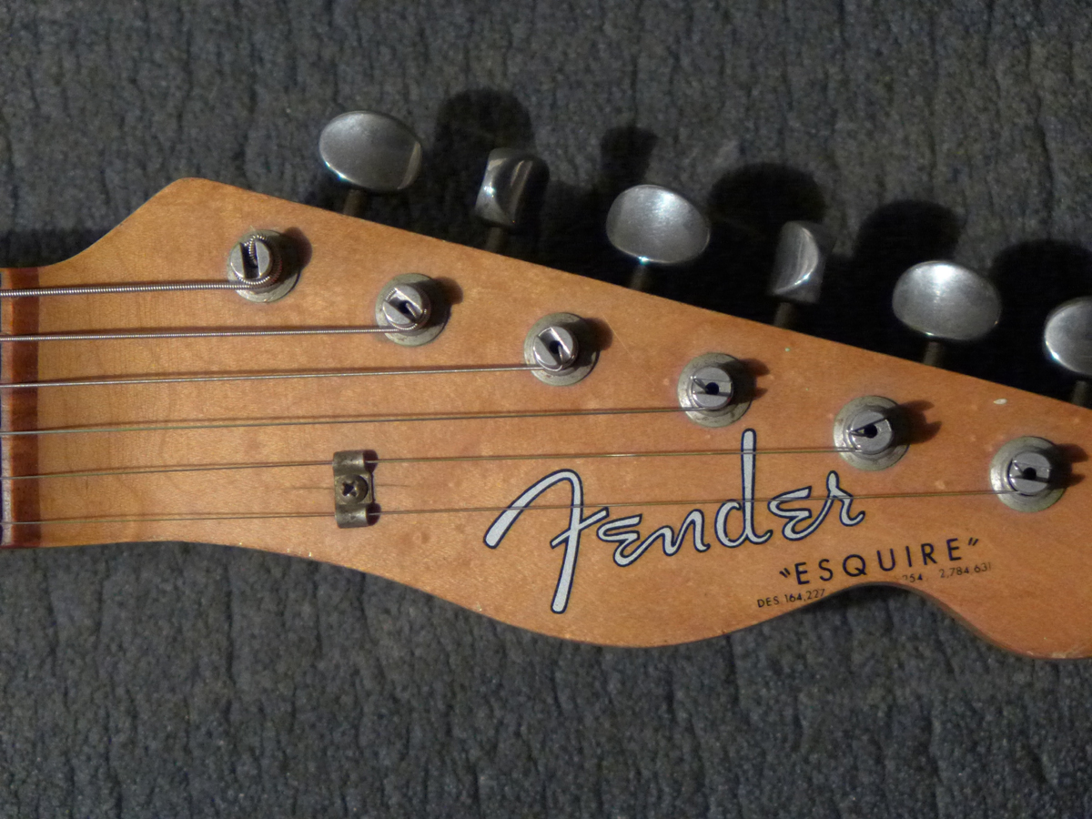 Fender 66er Esquire - head